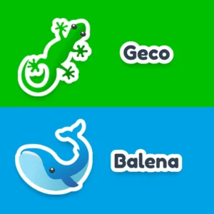 Moduli Verde Geco 🦎 + Azzurro Balena 🐋